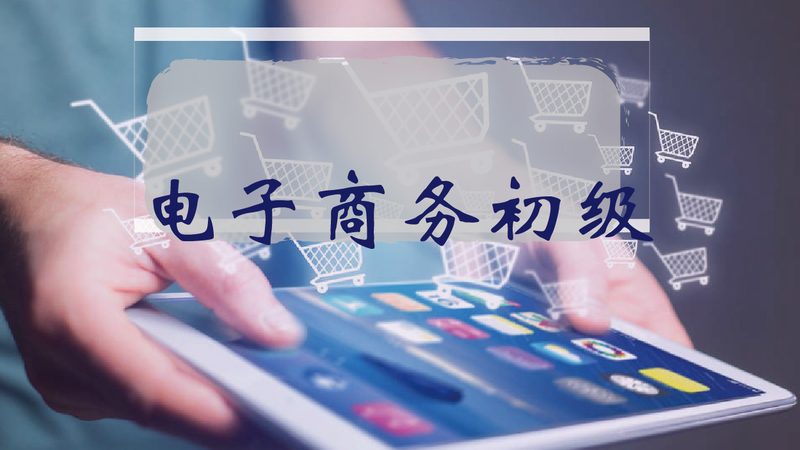 电商网站建设代理加盟，费用几何？揭秘成本构成与优化策略**
