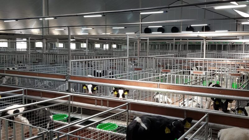 电商孵化行业规范制定流程解析